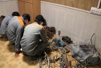 دستگیری سارق سیم و کابل برق با 20 فقره سرقت در نکا