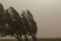 وزش باد و مقاوم نمودن پوشش خزانه برنج برای فردا پنجشنبه