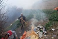 پاکسازی مسیرهای جنگلی هزارجریب نکا+تصاویر