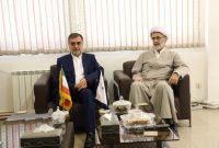 سامانه داوطلب برای معرفی نمایندگان نامزدها تعریف شده بود