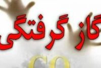 کاهش ۵۳ درصدی تلفات مسمومیت با گاز در مازندران