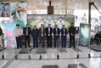 آیین درختکاری در گلزار شهداء نکا+تصاویر آیین درختکاری در گلزار شهداء نکا+تصاویر