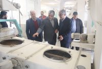 مازندران می تواند هاب غلات باشد
