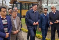 حفاظت از جنگل، اولویت اصلی سازمان منابع طبیعی