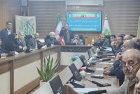 حفاظت از جنگل‌های هیرکانی نیازمند همکاری همگانی است/برخورد قانونی با متخلفان عرصه‌های واگذار شده منابع طبیعی