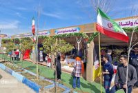 توقف نجاتبخش در نوروزگاههای مازندران/شعار “نه به تصادف” جدی گرفته شود توقف نجاتبخش در نوروزگاههای مازندران/شعار “نه به تصادف” جدی گرفته شود