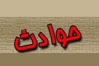 سقوط درخت در نور جان دو کودک را گرفت سقوط درخت در نور جان دو کودک را گرفت