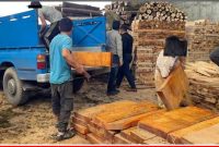 بیش از ۳۰ تن چوب جنگلی قاچاق در بابل کشف شد