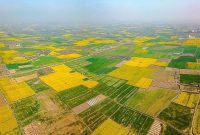 مازندران،بهشت مراتع ایران؛ ۶۶ درصد مراتع خوب!/همایش ملی مرتع برای نخستین بار در مازندران برگزار می‌شود