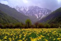 هوای بهاری در روزهای پایانی هفته جاری در مازندران