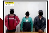 سومین باند قاچاق چوب در آمل منهدم شد سومین باند قاچاق چوب در آمل منهدم شد