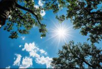 استقرار موج گرما در مازندران