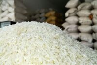 آغاز رسمی برداشت برنج در مازندران؛ دغدغه کشاورزان از سوداگری و واردات بی‌رویه