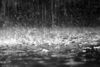نیمه ابری و تا ابری گاهی با بارش پراکنده