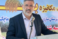 آغاز برداشت برنج در ساری؛لزوم حرکت به سوی کشاورزی نوین و حمایت از تولید داخلی