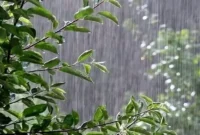 رگبار پراکنده در ارتفاعات مازندران  