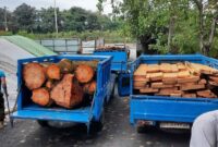 انهدام باند قاچاق چوب در آمل؛ متخلفان در پوشش کارگاه تولید ذغال فعالیت می‌کردند