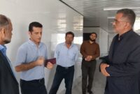 فرماندار جویبار از پروژه جوجه‌کشی اکسین (تارا) در شورکای جویبار بازدید کرد؛ بهره‌برداری به‌زودی