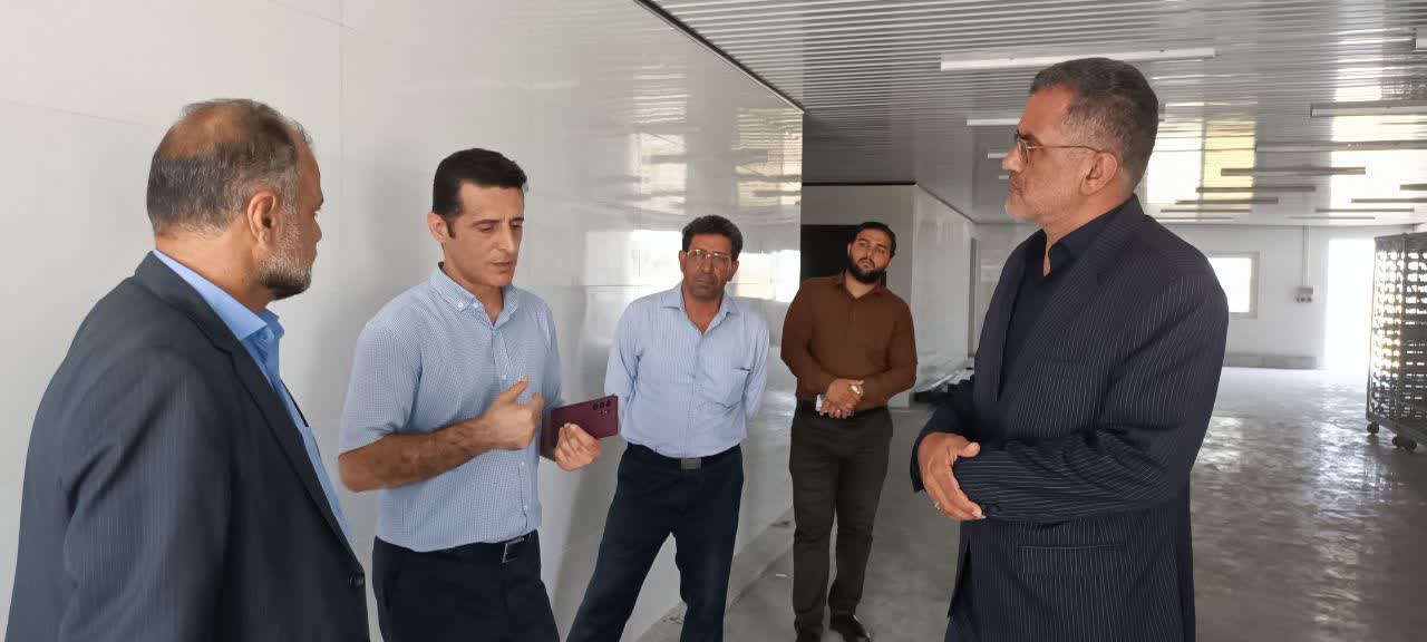 فرماندار جویبار از پروژه جوجه‌کشی اکسین (تارا) در شورکای جویبار بازدید کرد؛ بهره‌برداری به‌زودی