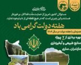 افتتاح ۷ پروژه منابع طبیعی در مازندران/ پروژه‌ها در کنترل سیل و حفظ جنگل‌ها موثر است