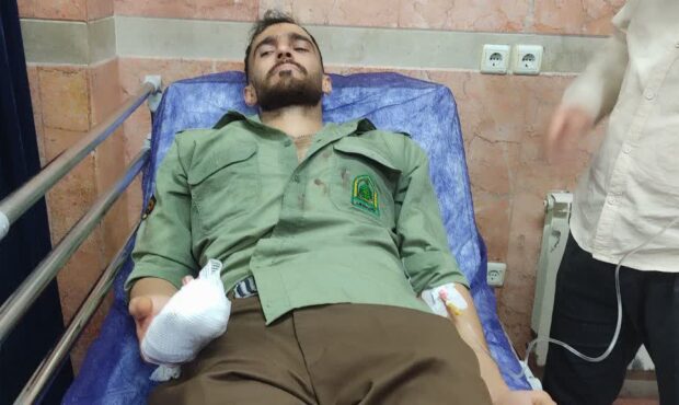 حمله متصرفان جنگل به مامور منابع طبیعی در بابل/ قطع شدن انگشت یک مامور در حین ماموریت