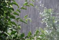 تداوم رگبار پراکنده تا اوایل هفته آینده در مازندران