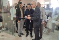 برگزاری نمایشگاه بزرگ هنرهای تجسمی در نکا