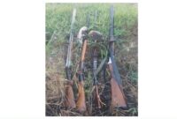 کشف چهار قبضه اسلحه شکاری و لاشه پرنده در بابل کشف چهار قبضه اسلحه شکاری و لاشه پرنده در بابل