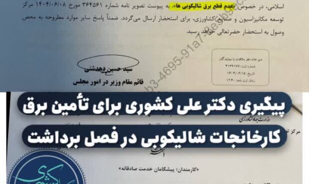 برق شالیکوبیهای مازندران در فصل برداشت وصل میماند
