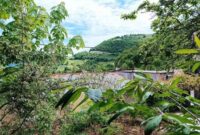 خروج سامانه بارشی از فردا در مازندران خروج سامانه بارشی از فردا در مازندران