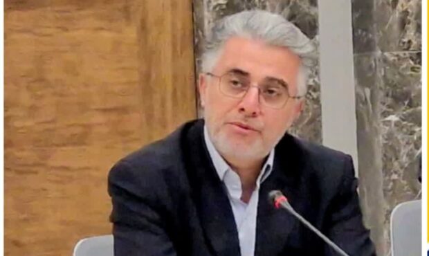 پارکهای جنگلی باید فراتر از طبیعت باشند/ تأکید سازمان منابع طبیعی بر پیوست فرهنگی در طراحی