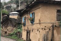 تلاشگران صادق، نماد پایداری و عشق به میهن‌اند