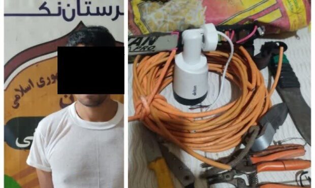 سارق مشاعات ساختمانی در نکا به دام افتاد؛ اعتراف به ۹ فقره سرقت