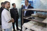 تشکیل ۳۷ پرونده تخلف در رزمایش نظارتی آرد و نان مازندران