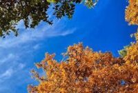 تدام هوای پایدار تا دوشنبه با شب‌های سرد پاییزی در مازندران