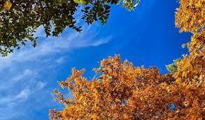 تدام هوای پایدار تا دوشنبه با شبهای سرد پاییزی در مازندران