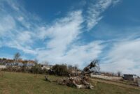 جوی نسبتا پایدار با شب های سرد در مازندران