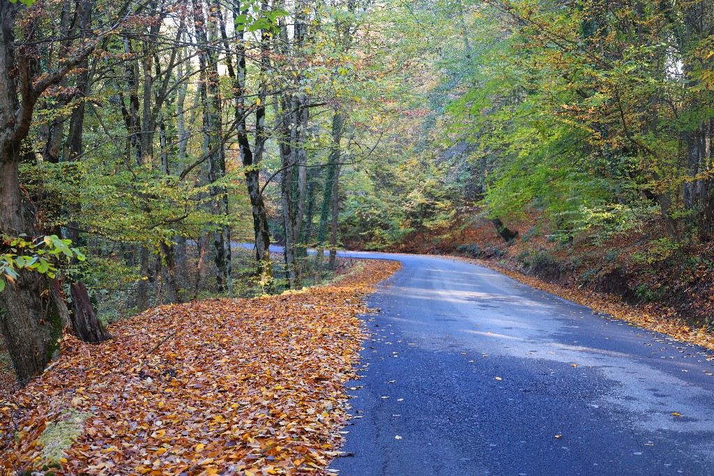 کرداب؛ نگین پاییزی هزار جریب نکا با مناظری دل‌انگیز+تصاویر