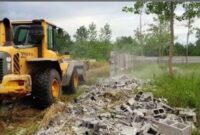 آزادسازی ۱۵ هزار مترمربع از اراضی جنگلی تنکابن به ارزش ۳۰۰ میلیارد ریال