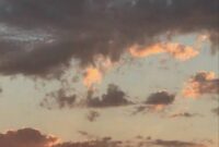 پایدار ماندن هوای مازندران؛ بدون یخبندان زیان‌بار برای مرکبات