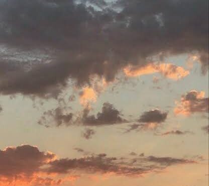 پایدار ماندن هوای مازندران؛ بدون یخبندان زیانبار برای مرکبات