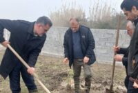 درختان ریه‌های زمین هستند؛ آغاز کاشت ۲۵۰۰ نهال در لاریم+فیلم