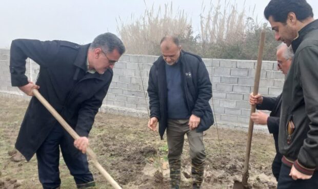 درختان ریه‌های زمین هستند؛ آغاز کاشت ۲۵۰۰ نهال در لاریم+فیلم