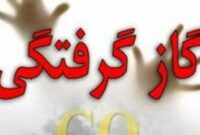 ۳۵ نفر بر اثر مسمومیت با گاز منوکسیدکربن جان باختند