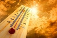هوای صاف و نسبتا گرم بهاری در مازندران