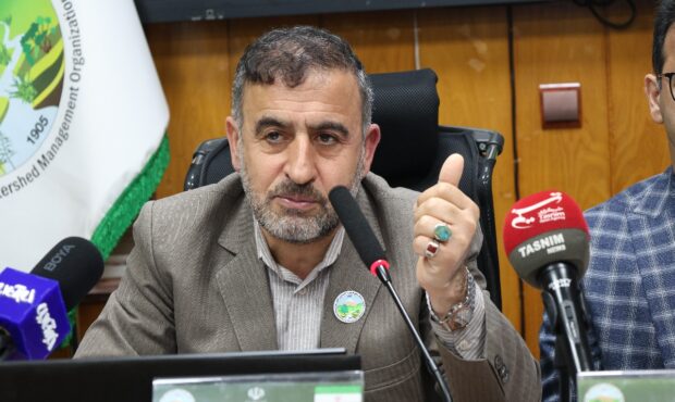 پویش ملی سرو ایران در مازندران؛ ۵۰۰۰ اصل نهال غرس میشود+فیلم