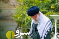 فراخوان ملی درختکاری سرو ایران