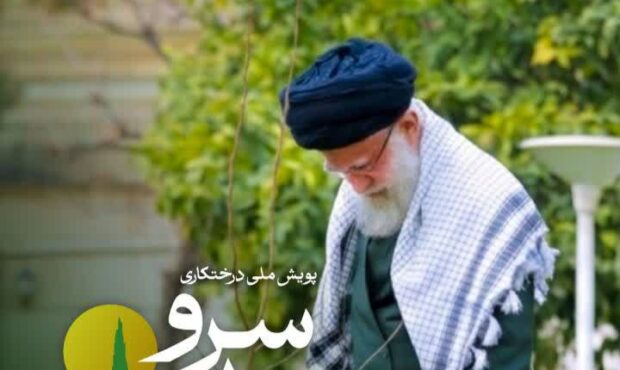 فراخوان ملی درختکاری سرو ایران