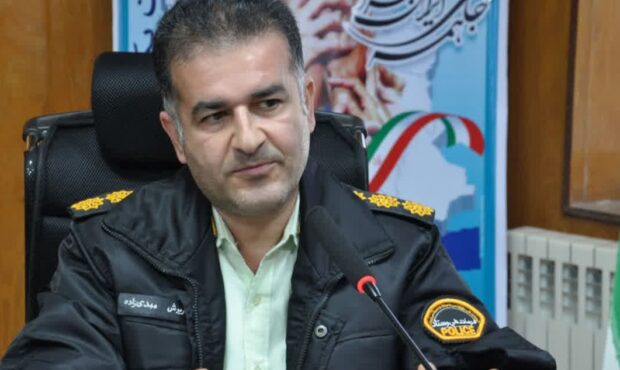 عملیات ضربتی و غافلگیرانه در آمل؛ کشف چوبهای قاچاق و معرفی متهمان به پلیس امنیت اقتصادی