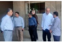 گندمکاران مازندران پیشگام امنیت غذایی کشور هستند گندمکاران مازندران پیشگام امنیت غذایی کشور هستند